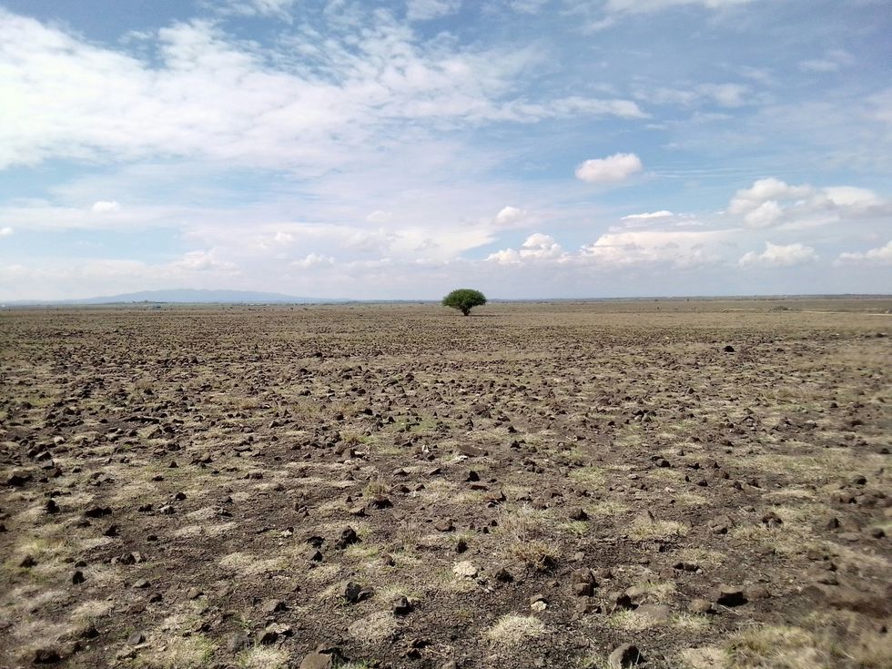 Earth’s lands face increasing drought linked to human activity