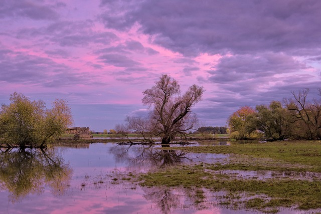 The Link Between Flooding and Biodiversity Loss