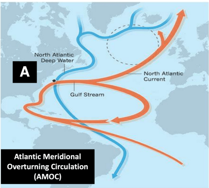 When Scientists, Skeptics and Eco-Loons All Agree, Except for Catastrophic Storytelling – Watts Up With That?